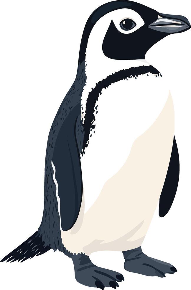 captivating cute simple African penguin clipart vector