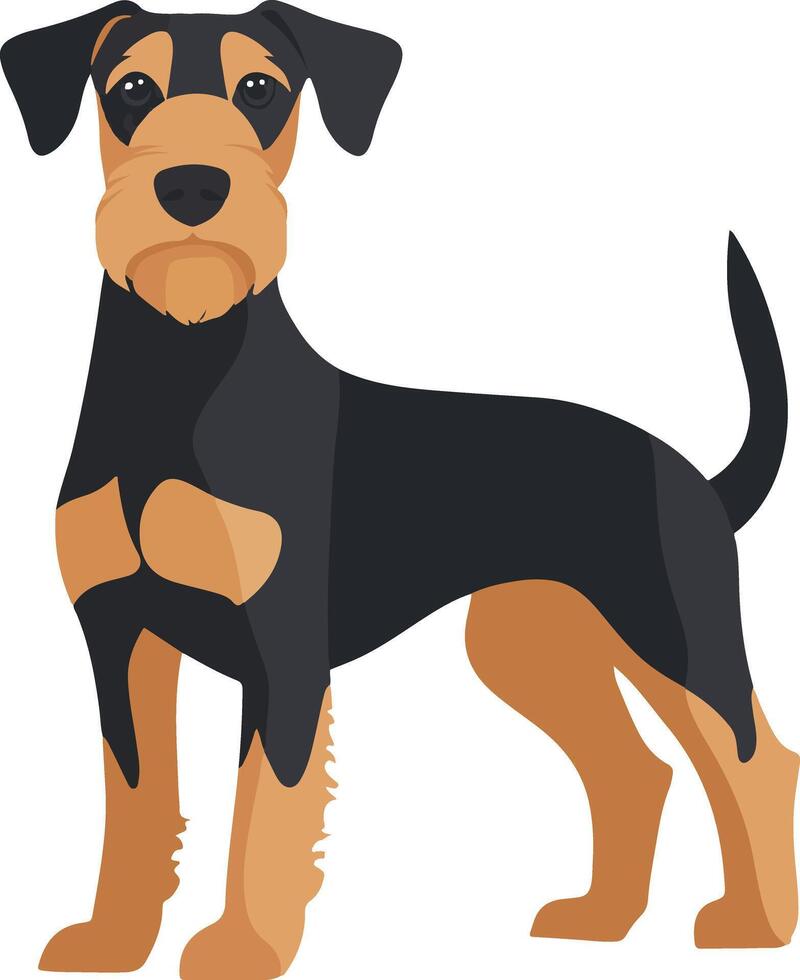 sweet cute simple Airedale Terrier clipart vector