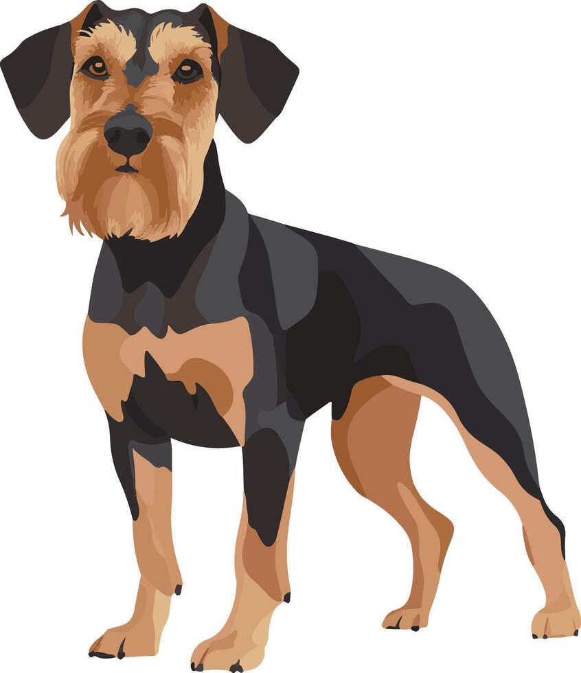 charming cute simple airedale terrier clipart vector