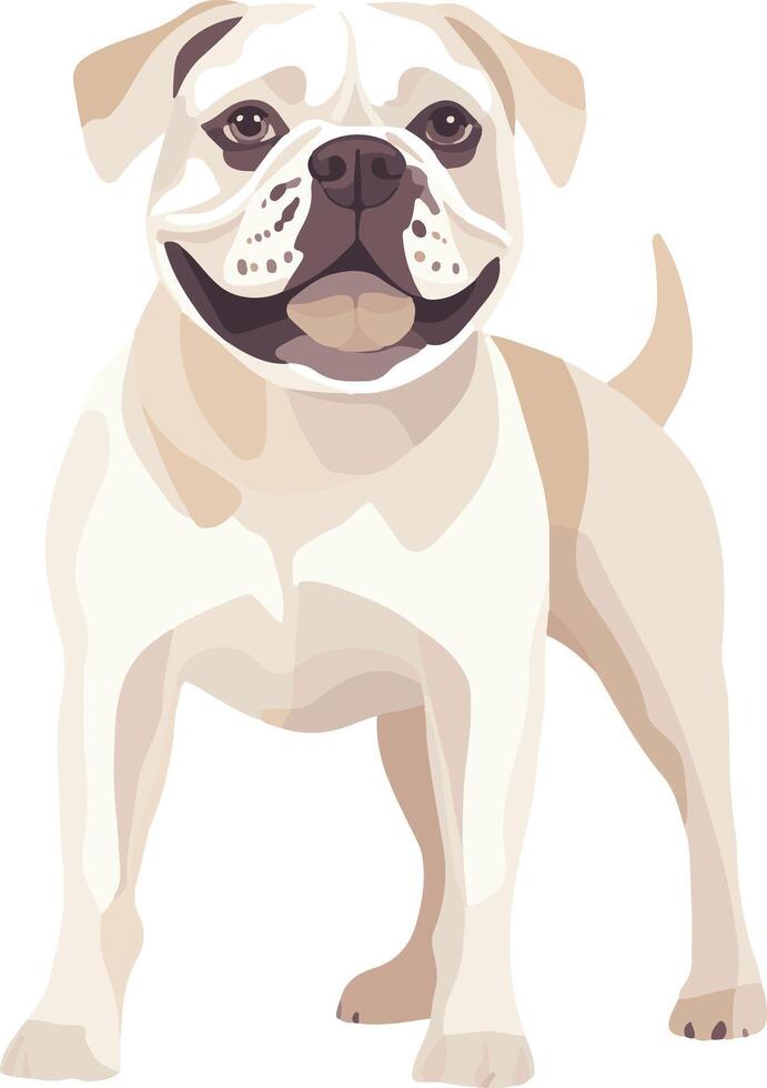cute simple American Bulldog clipart vector