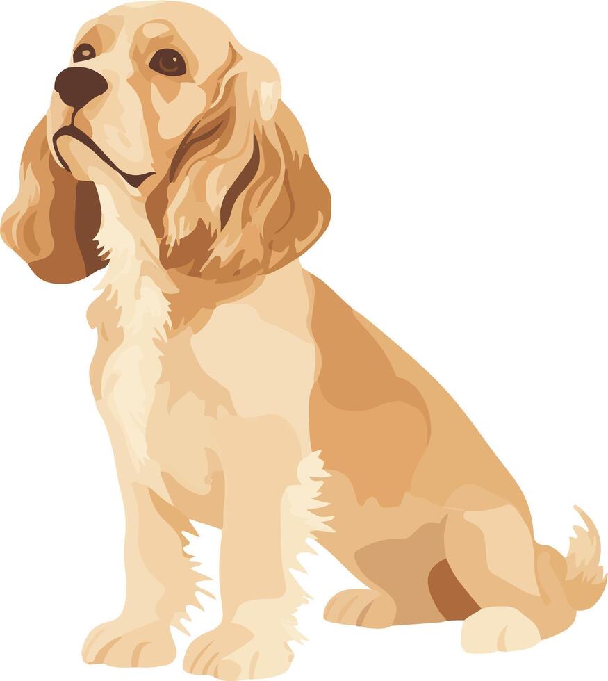 cute simple American Cocker Spaniel clipart vector