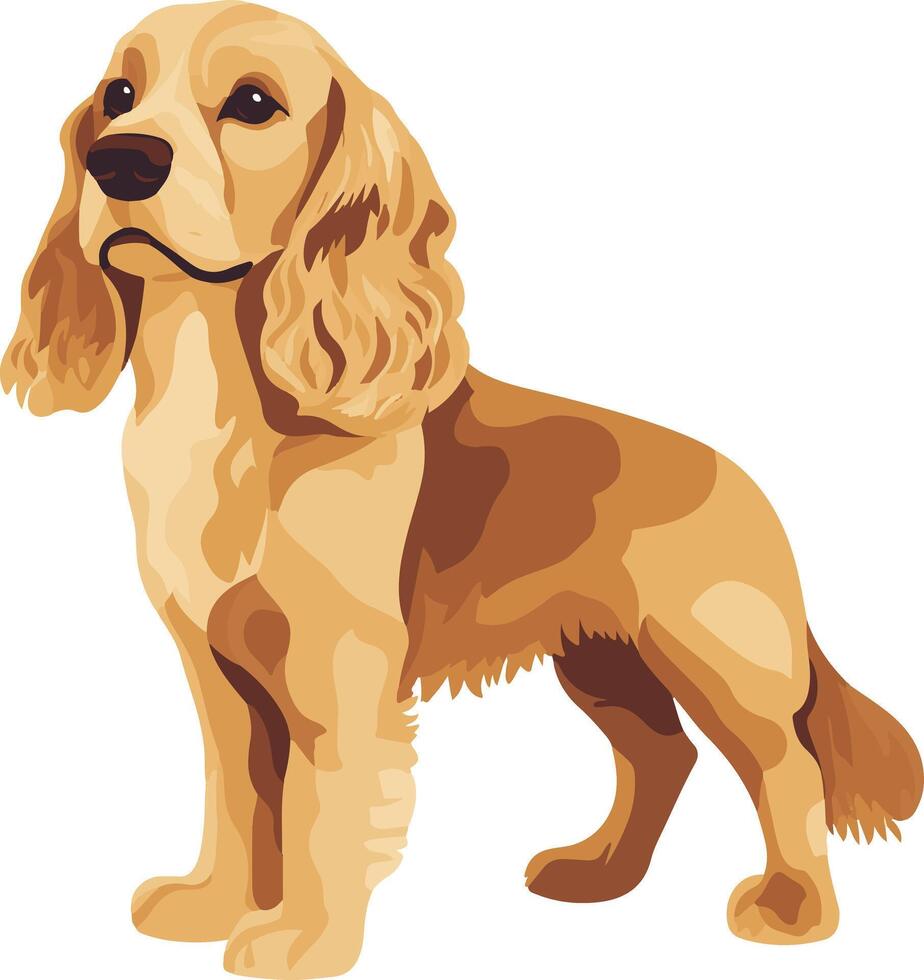 lovely cute simple American Cocker Spaniel clipart vector