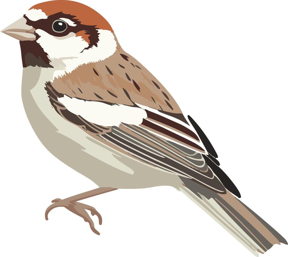 cute simple American tree sparrow clipart vector