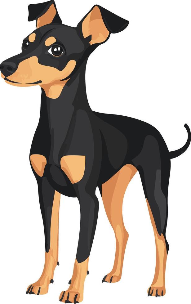 adorable cute simple Manchester Terrier clipart vector