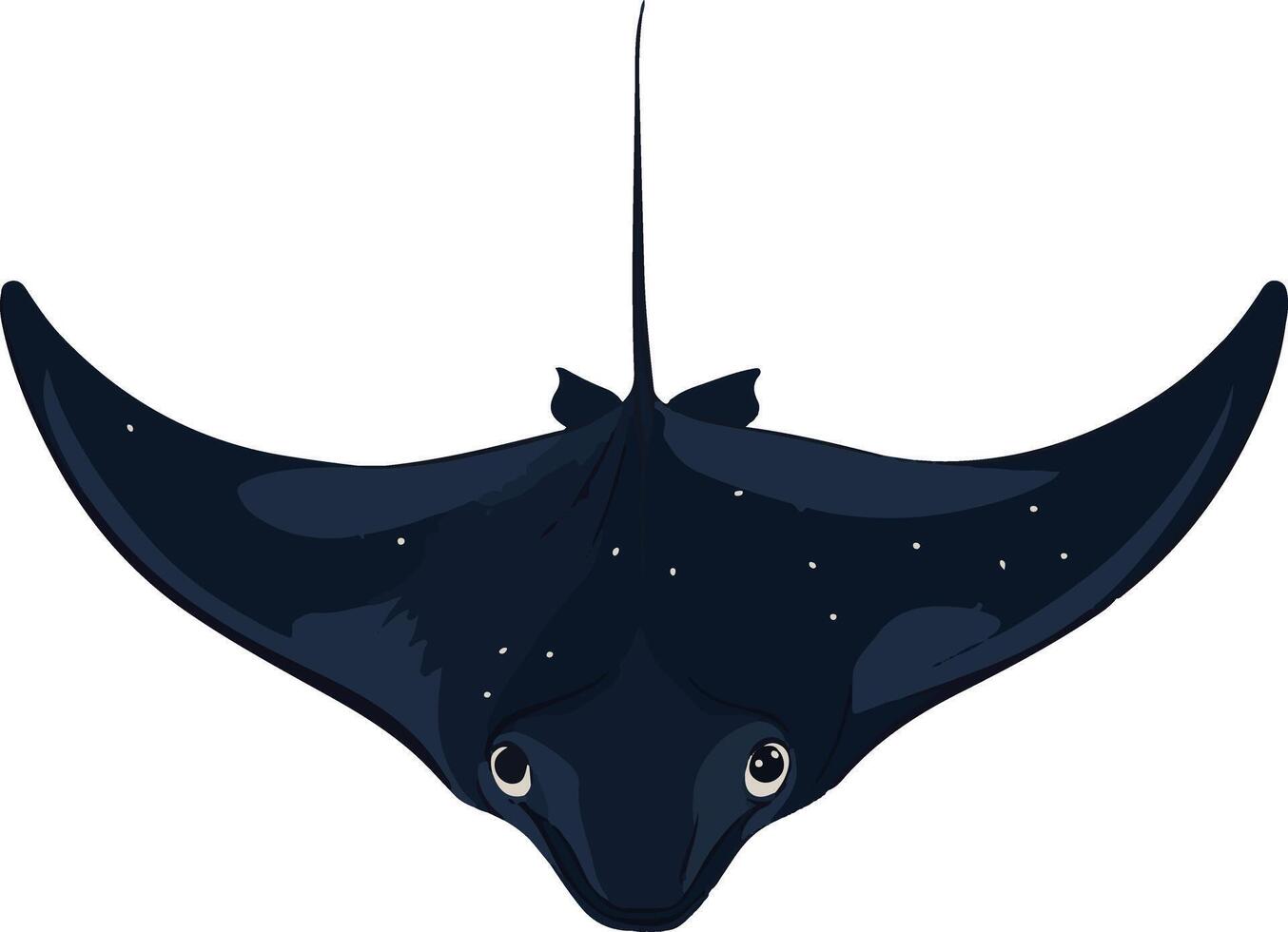 adorable cute simple manta ray clipart vector