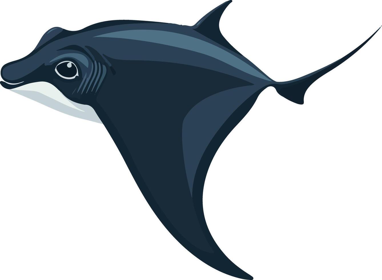 sweet cute simple manta ray clipart vector