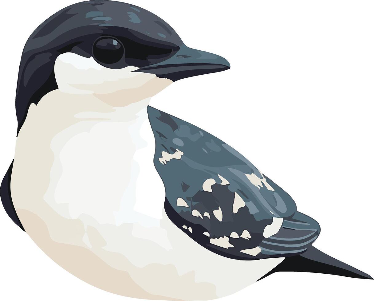 adorable cute simple marbled murrelet clipart vector