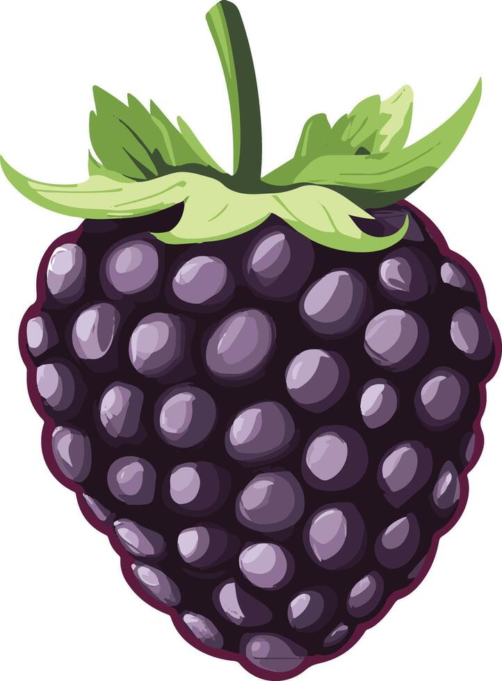 cute simple marionberry clipart vector