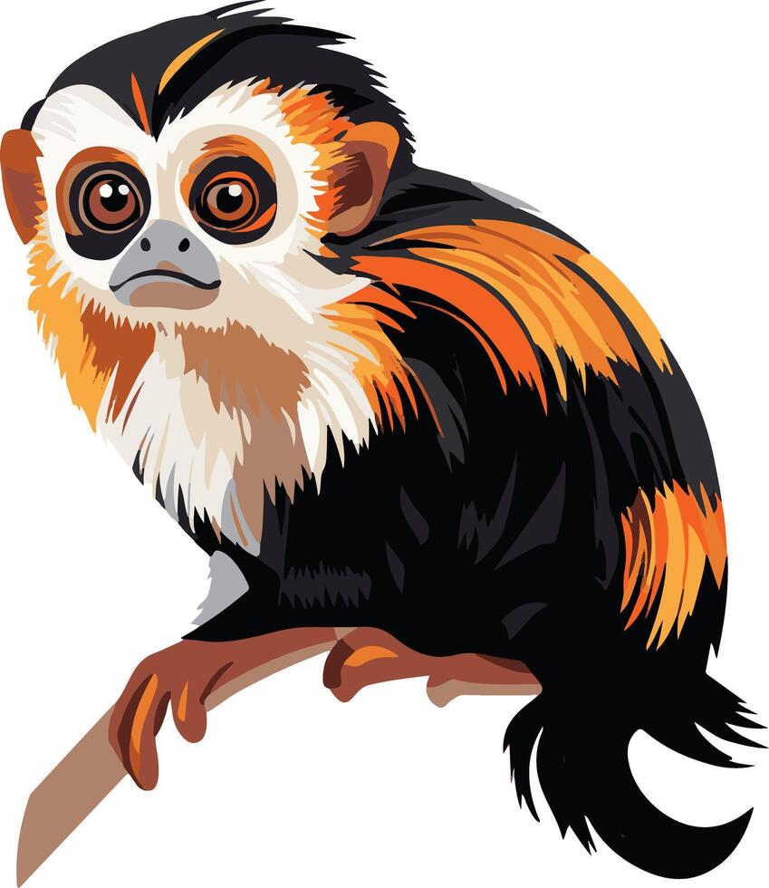 cute simple marmoset clipart vector