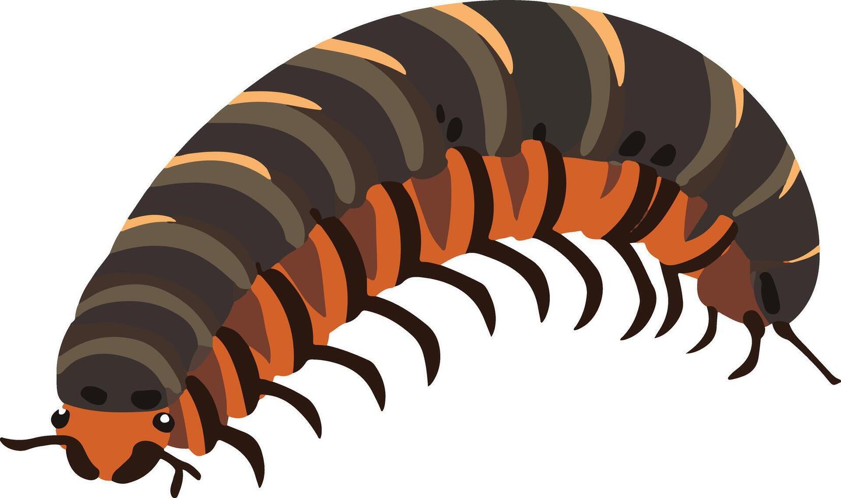 cute simple millipede clipart vector