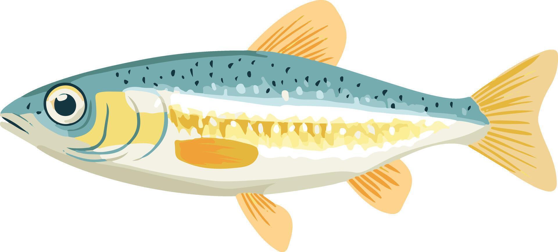 cute simple minnow clipart vector