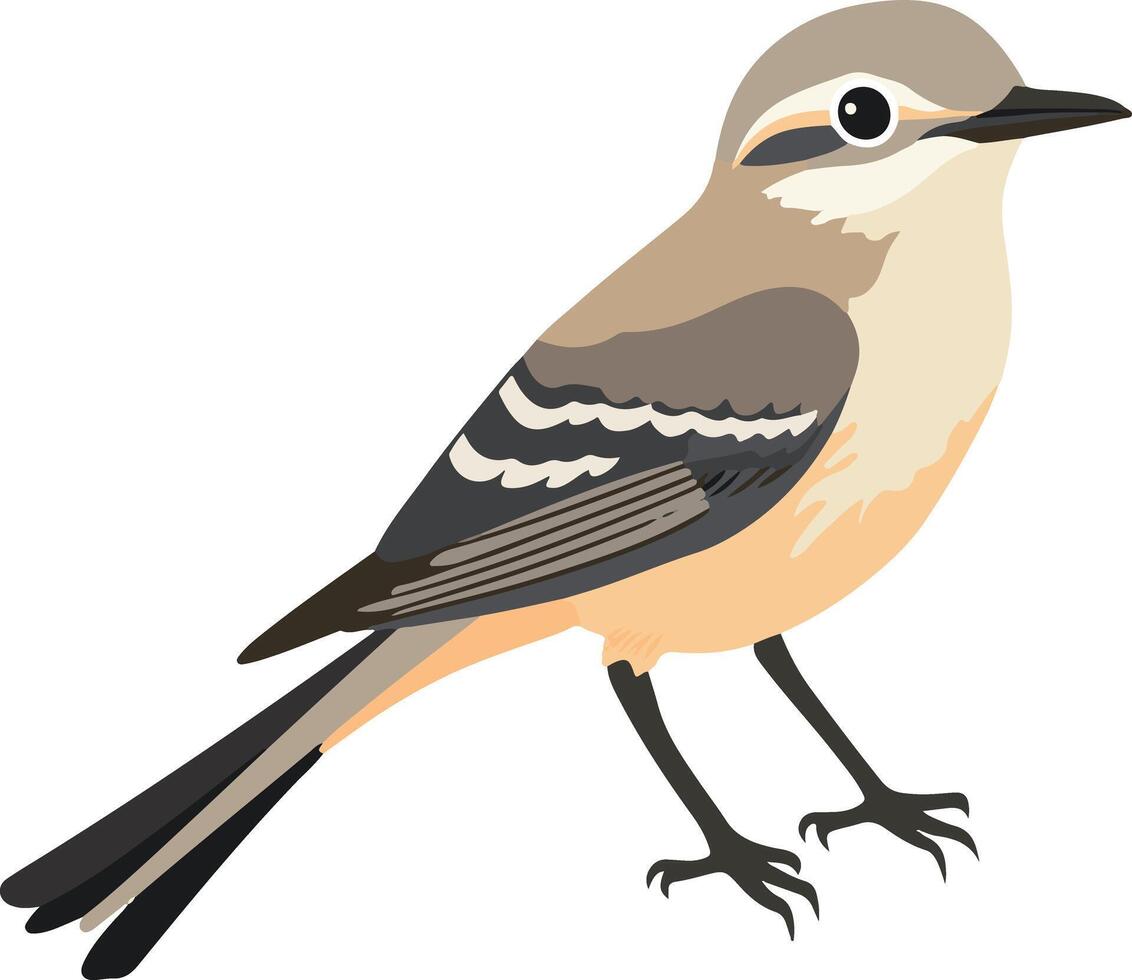 adorable cute simple mockingbird clipart vector