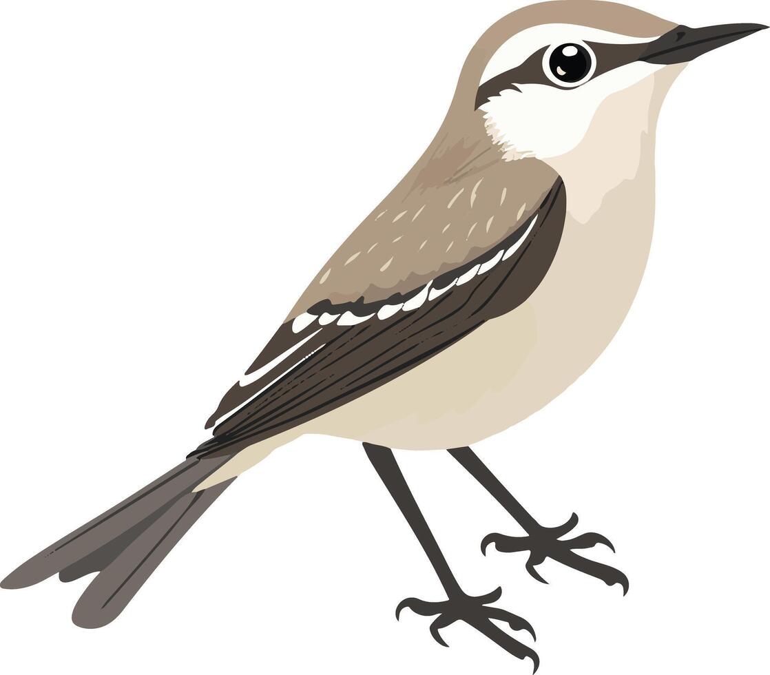 sweet cute simple mockingbird clipart vector