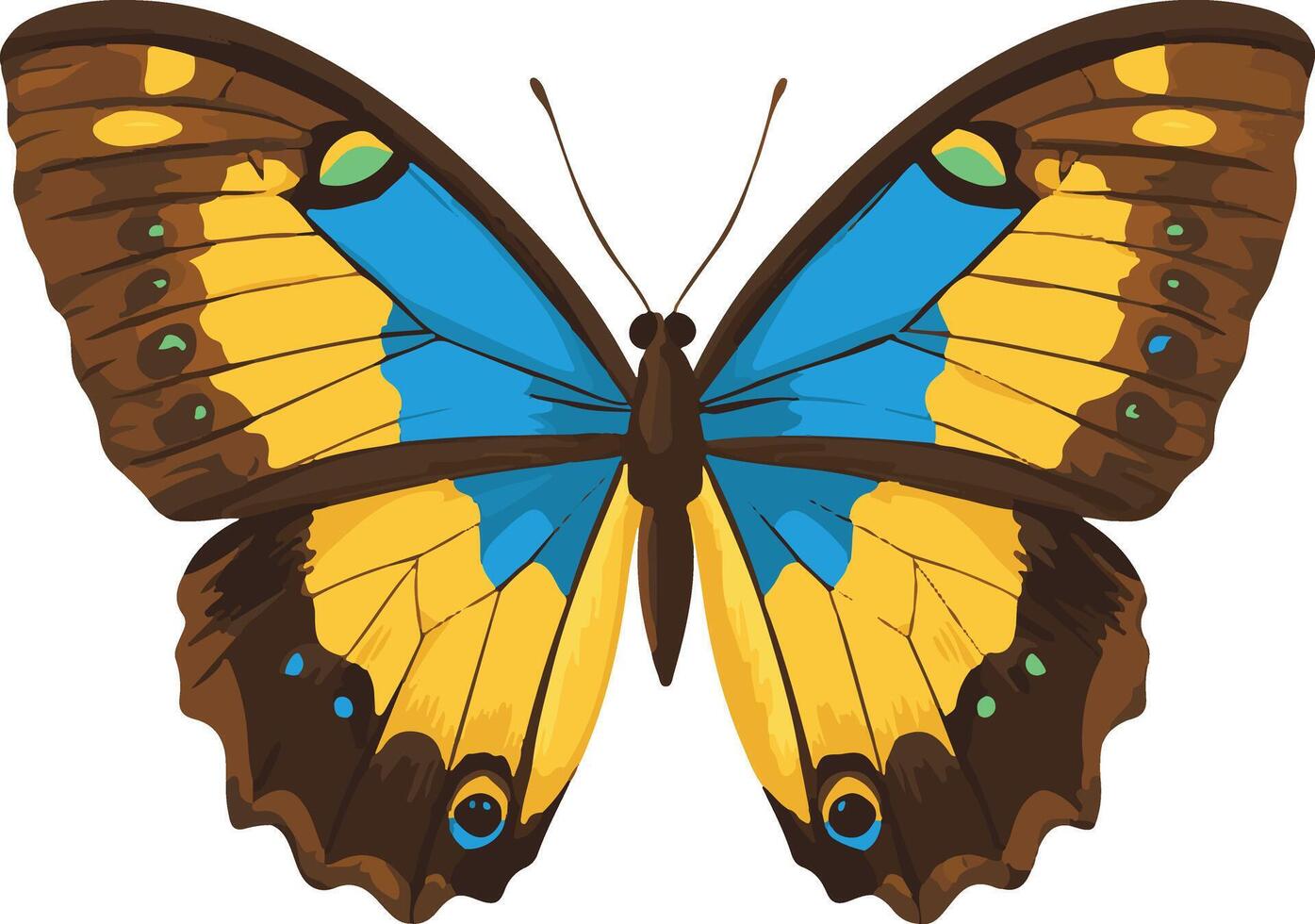sweet cute simple morpho butterfly clipart vector