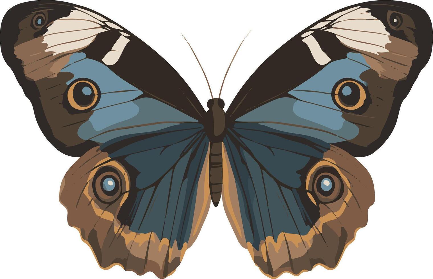 adorable cute simple morpho butterfly clipart vector
