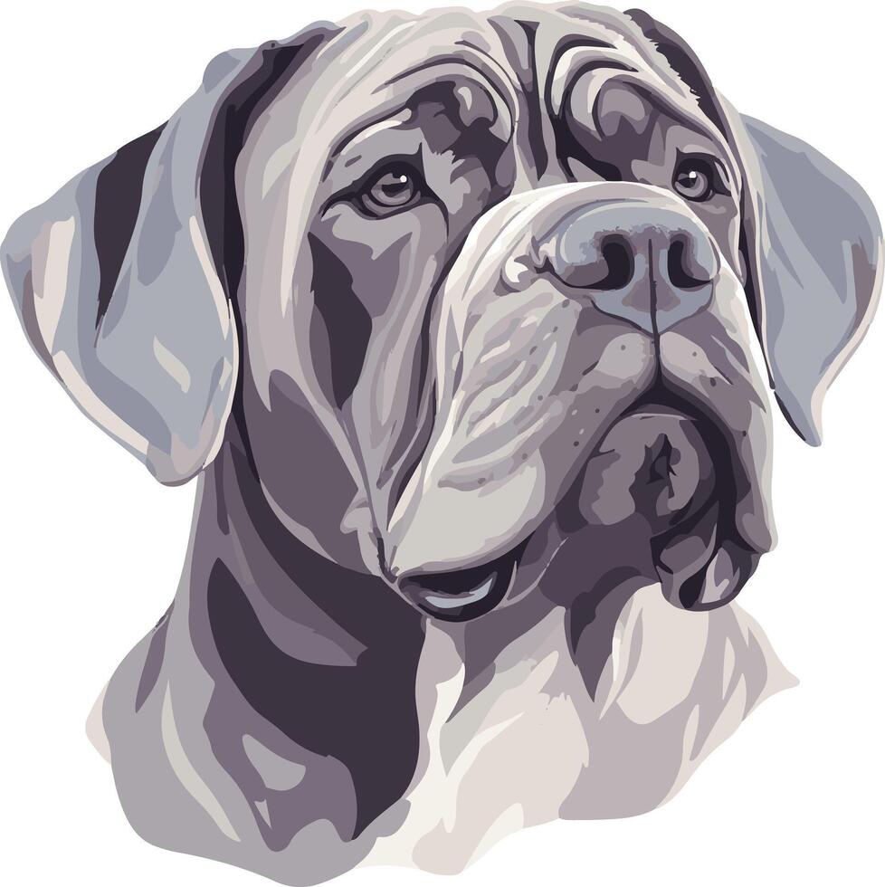 cute simple Neapolitan Mastiff clipart vector