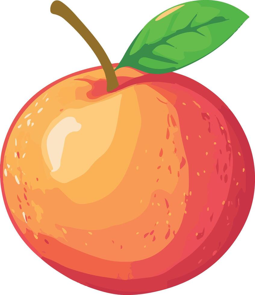 adorable cute simple nectarine clipart vector