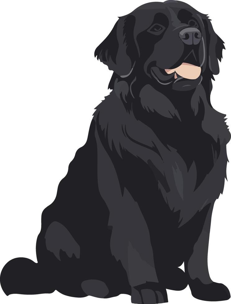 cute simple Newfoundland clipart vector