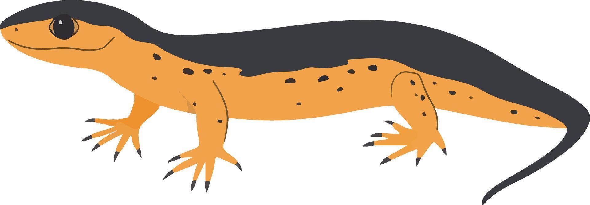 cute simple newt clipart vector