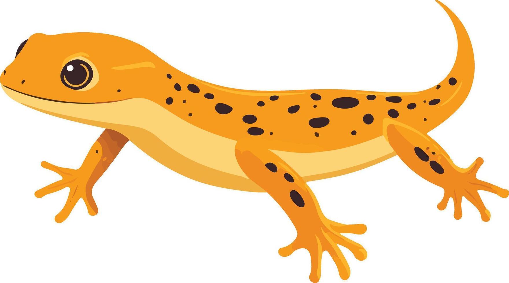 sweet cute simple newt clipart vector