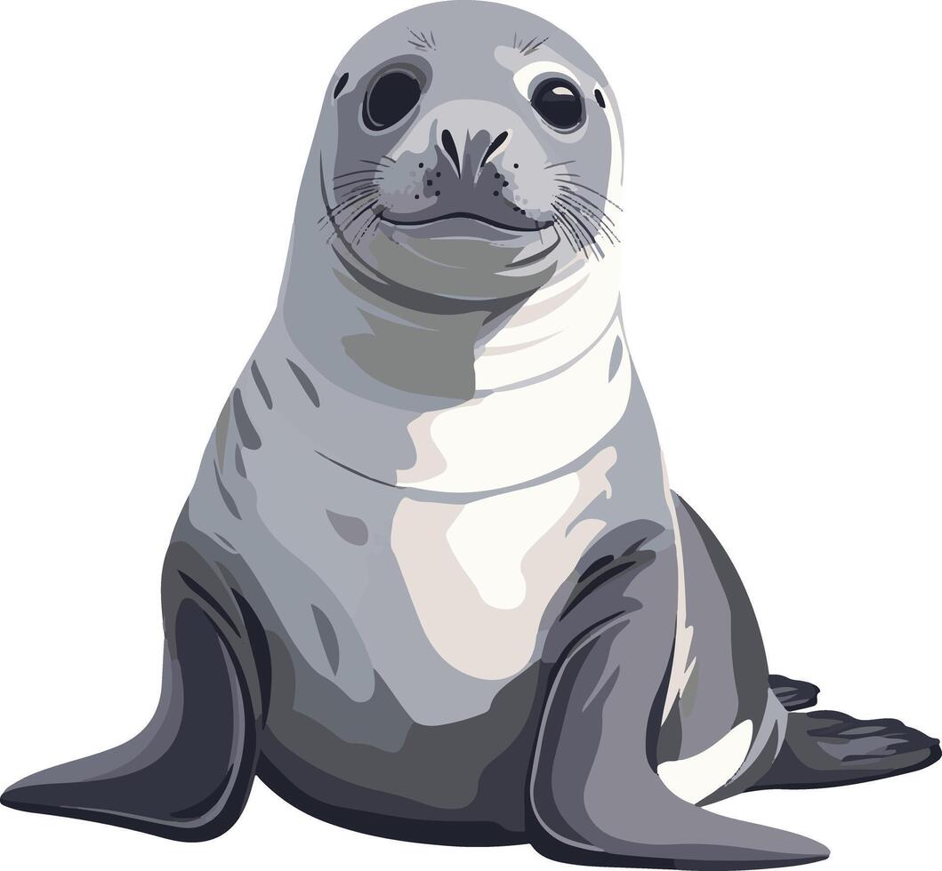 adorable cute simple northern elephant seal clipart vector
