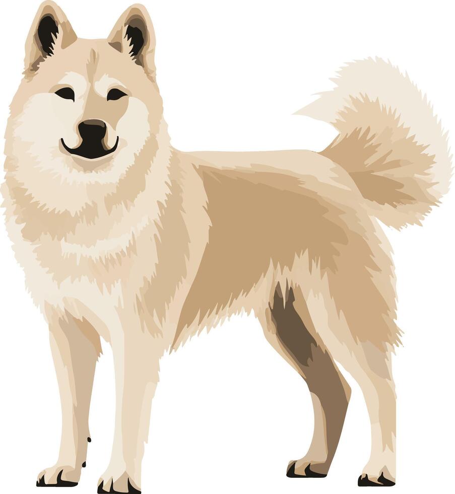 cute simple Norwegian Buhund clipart vector