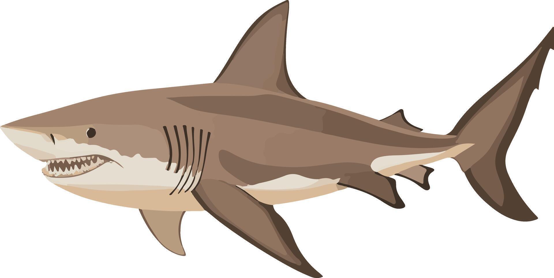 lovely cute simple nurse shark clipart vector