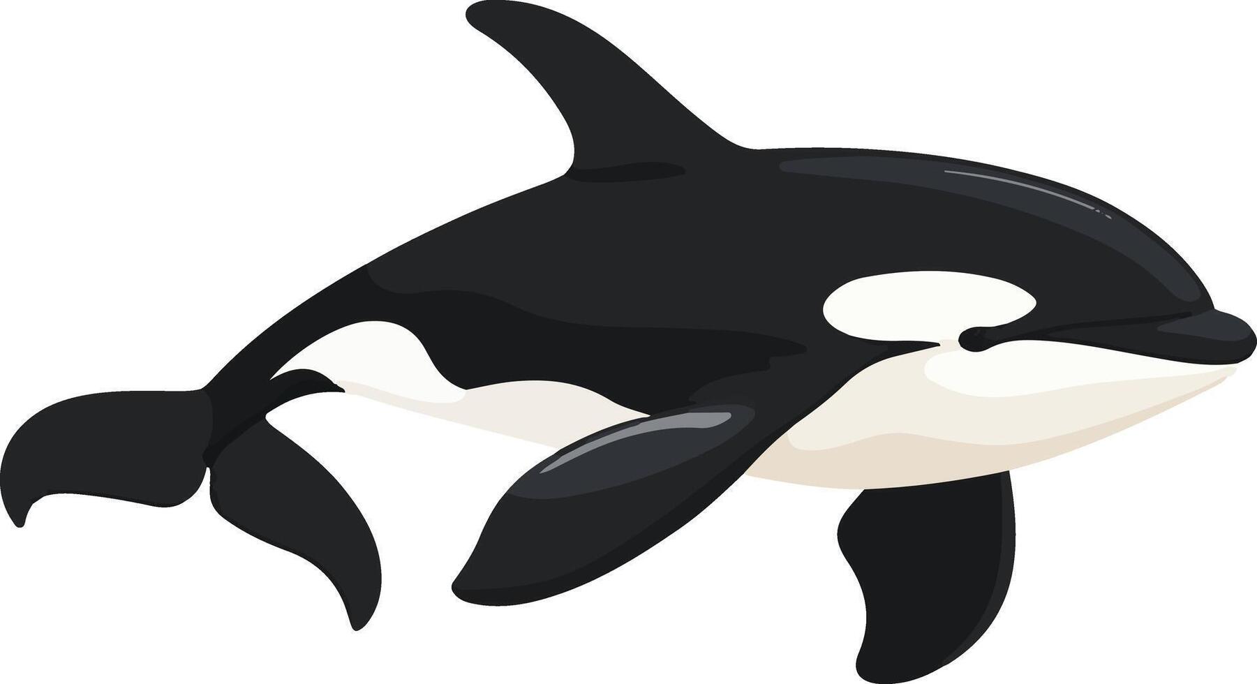 cute simple orca clipart vector