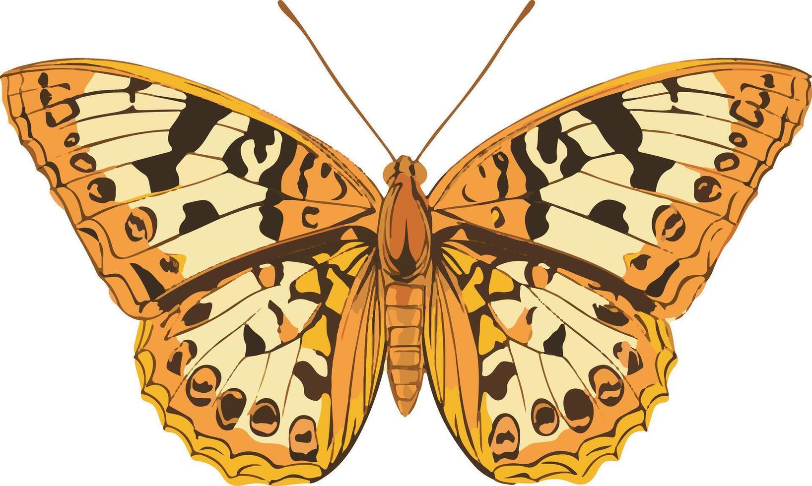 sweet cute simple Oregon silverspot butterfly clipart vector