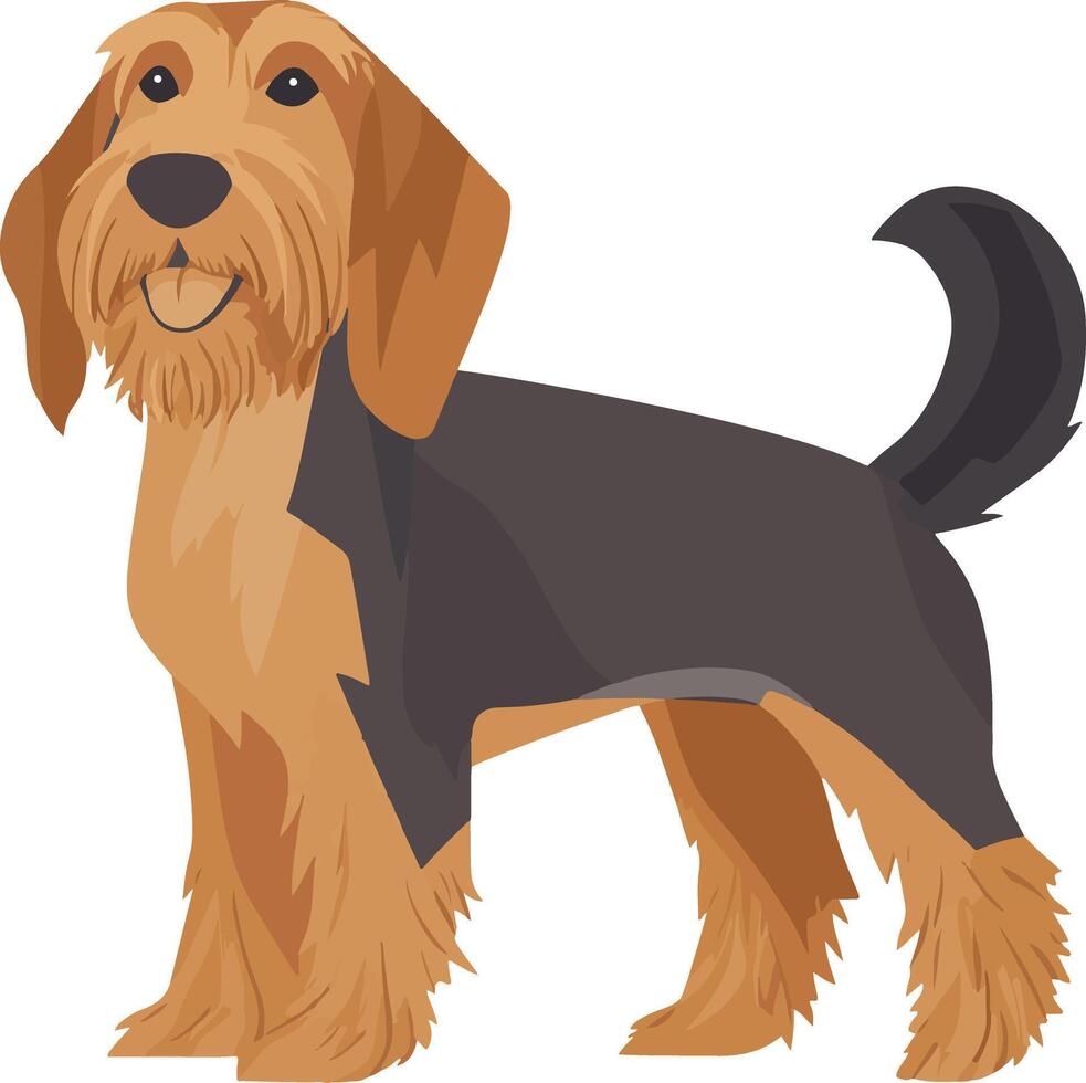 adorable cute simple Otterhound clipart vector