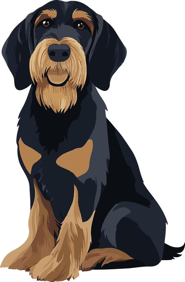 cute simple Otterhound clipart vector