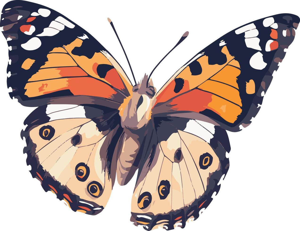 cute simple painted lady butterfly clipart vector