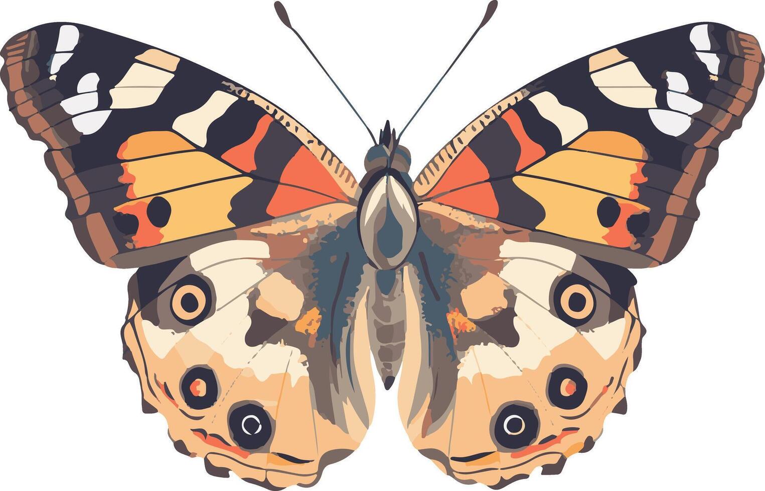 lovely cute simple painted lady butterfly clipart vector