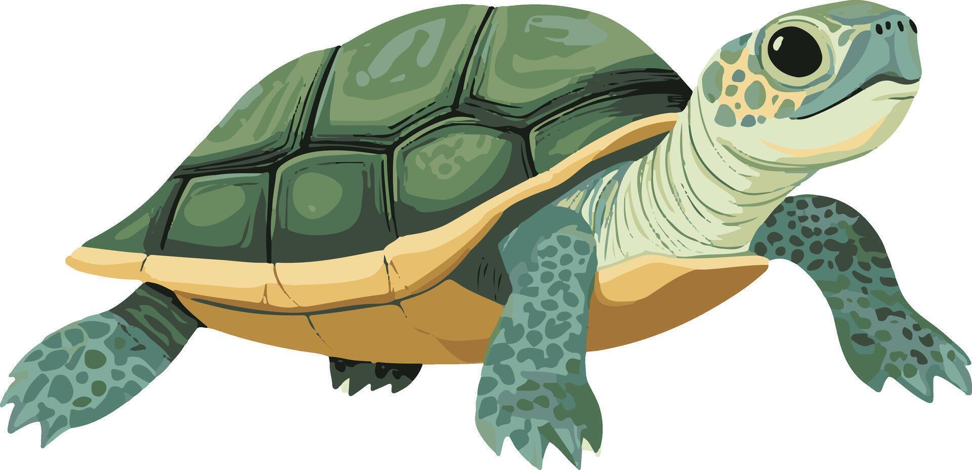 adorable cute simple painted turtle clipart vector