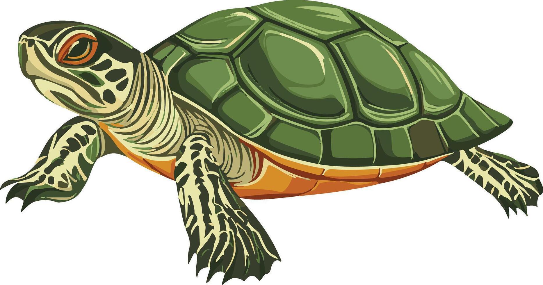cute simple painted turtle clipart vector