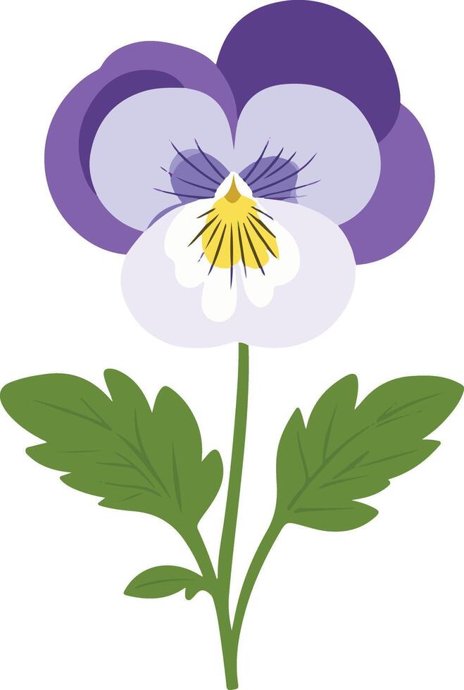 cute simple pansy clipart vector