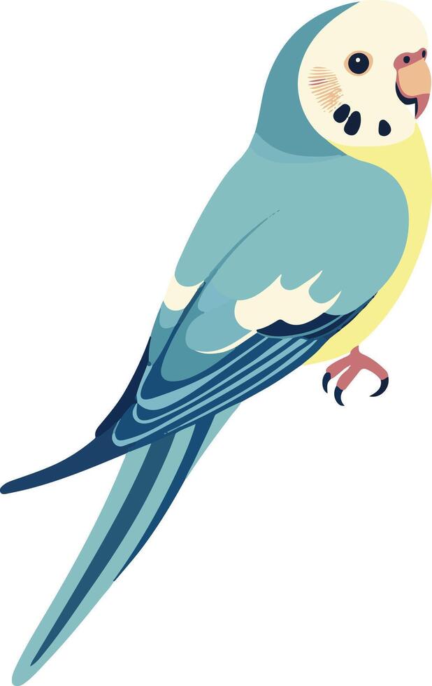 cute simple parakeet clipart vector