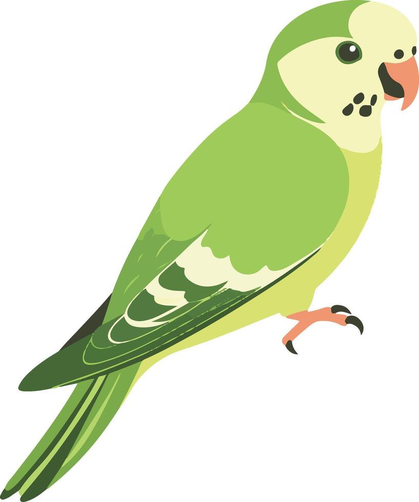 adorable cute simple parakeet clipart vector