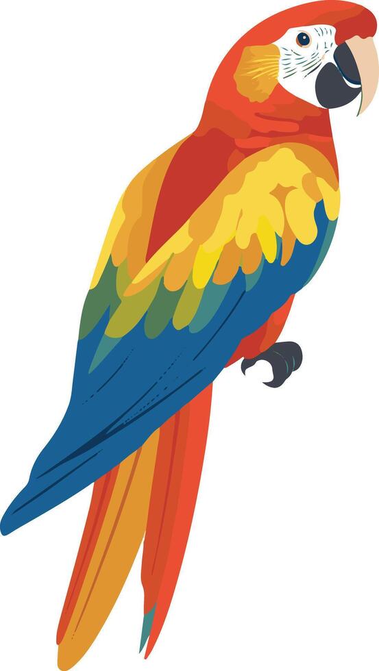 adorable cute simple parrot clipart vector