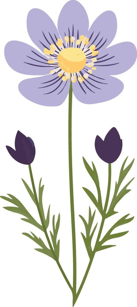 cute simple pasque flower clipart vector