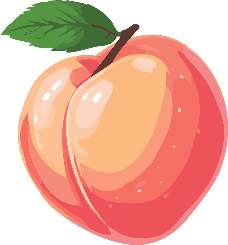 sweet cute simple peach clipart vector