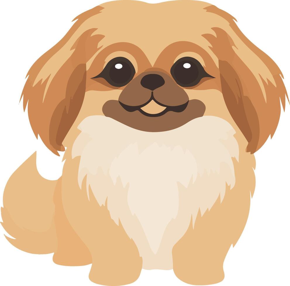 adorable cute simple Pekingese clipart vector