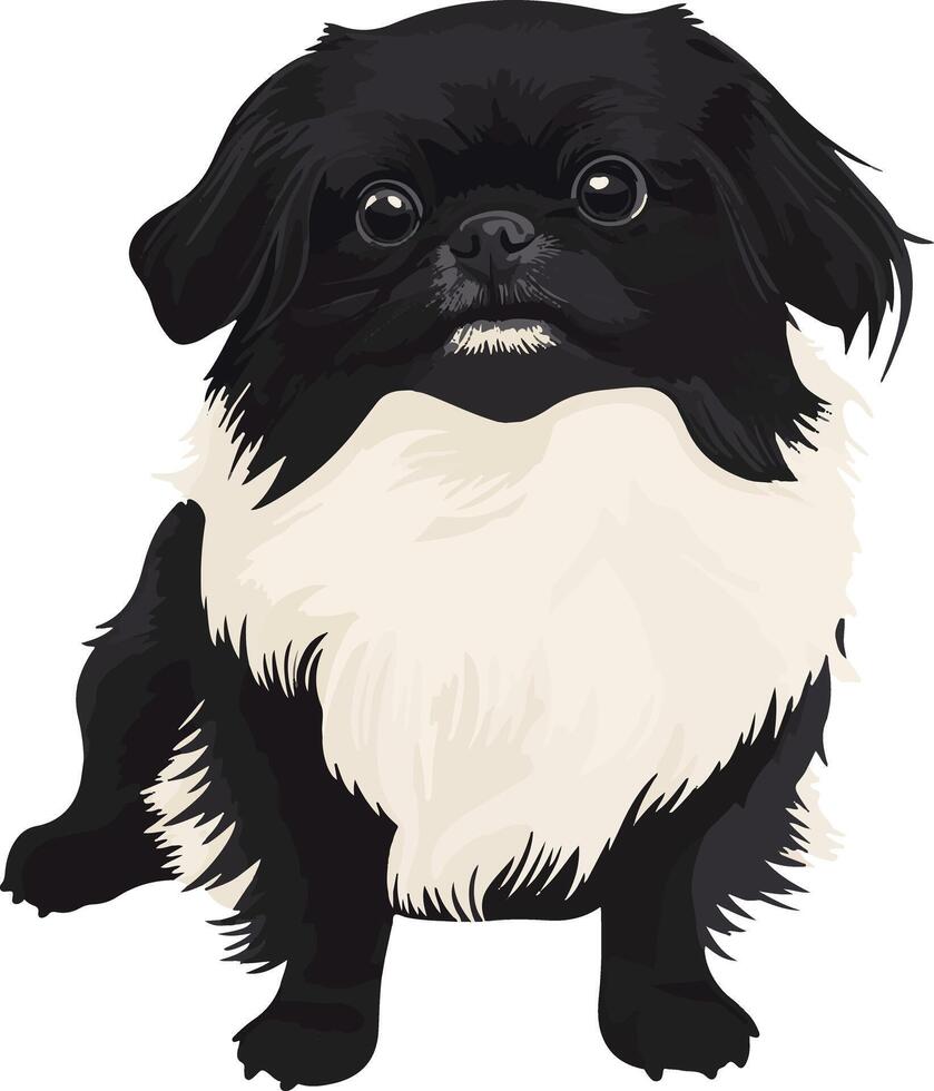 cute simple pekingese clipart vector