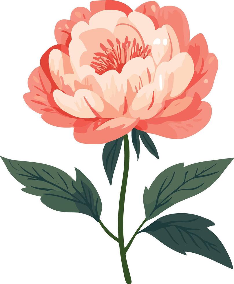 cute simple peony clipart vector