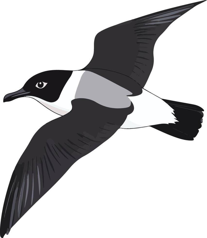 adorable cute simple petrel clipart vector