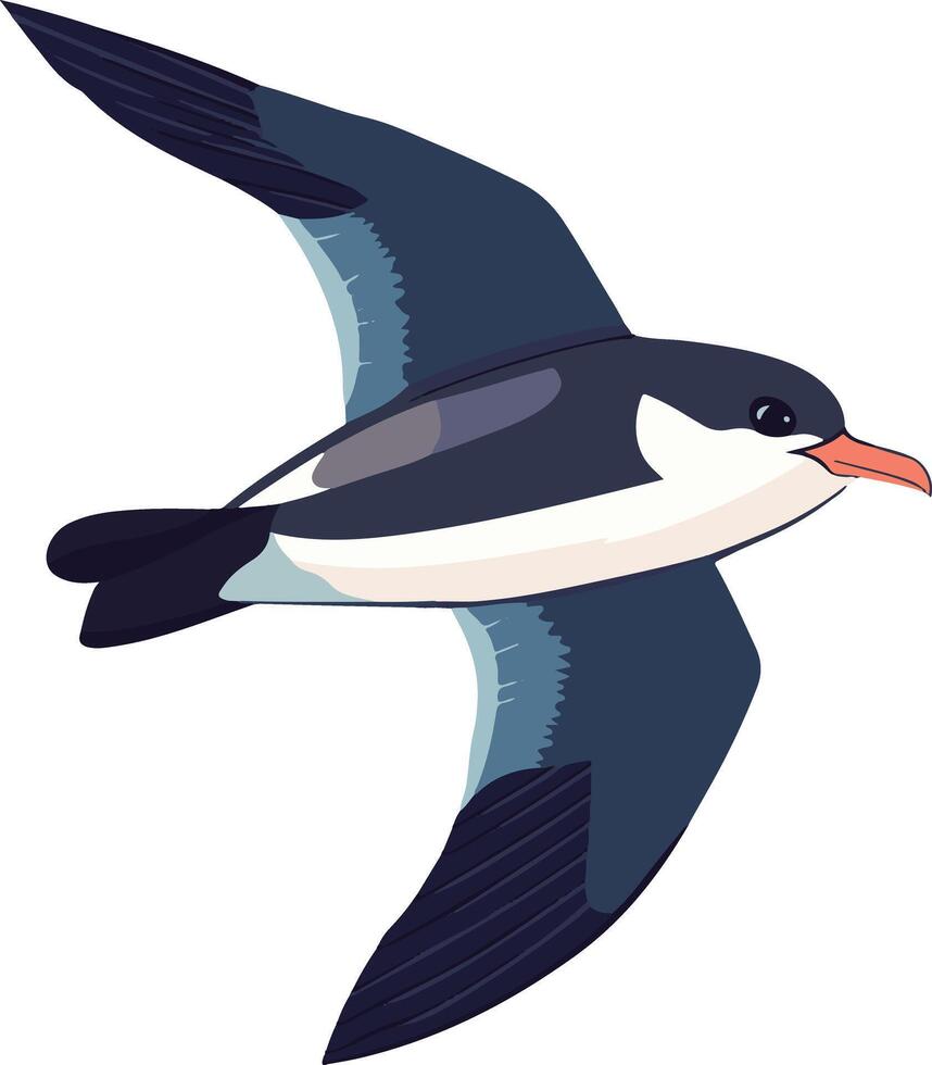 cute simple petrel clipart vector