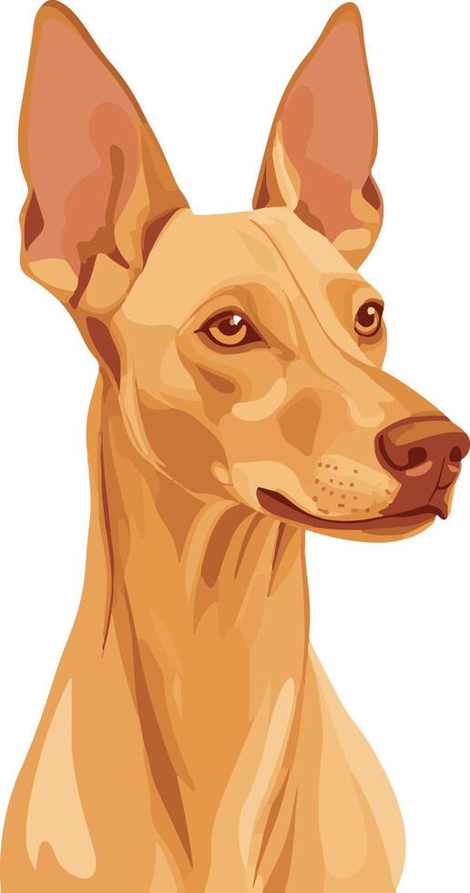 cute simple Pharaoh Hound clipart vector