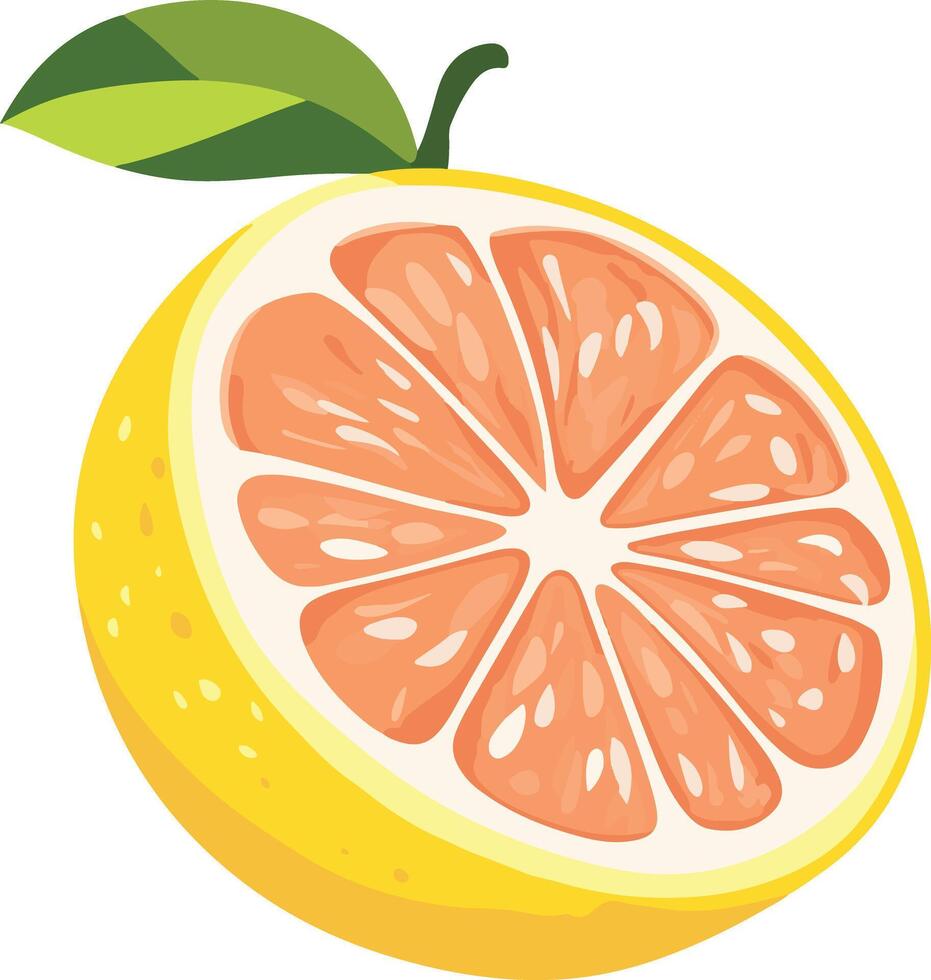 adorable cute simple pomelo clipart vector