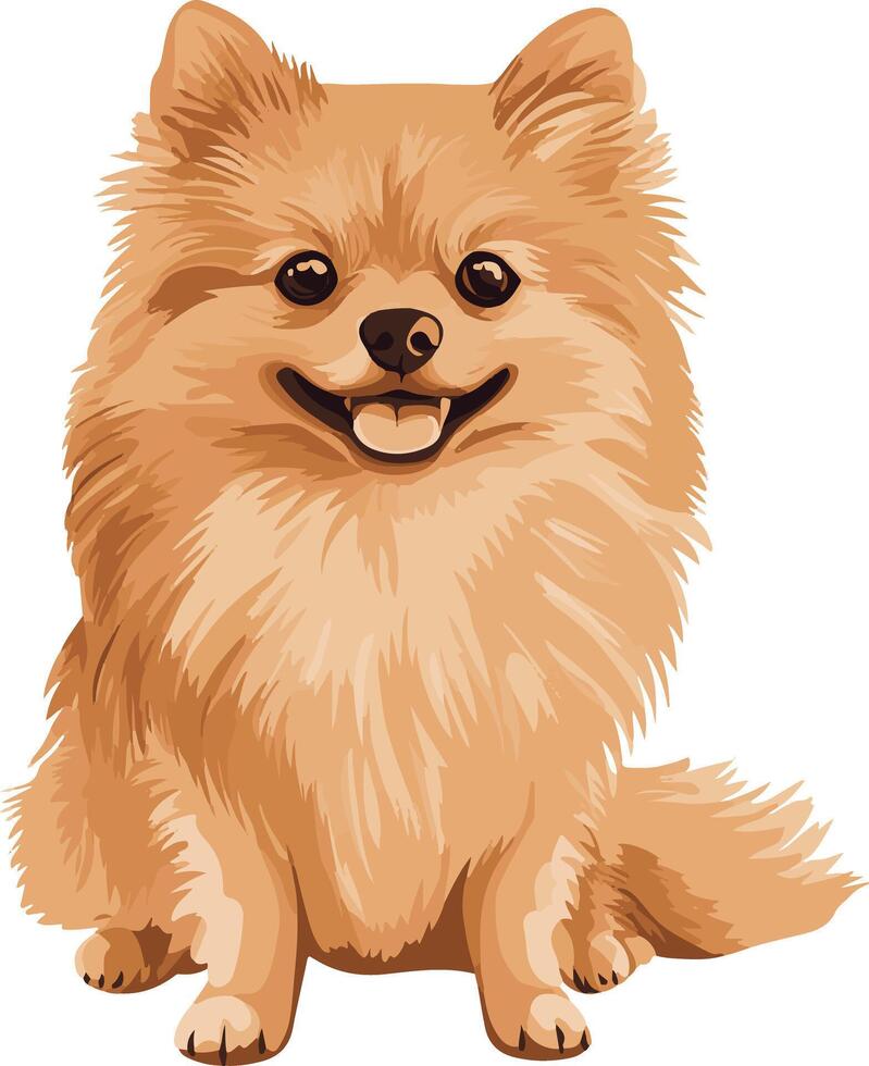 adorable cute simple Pomeranian clipart vector
