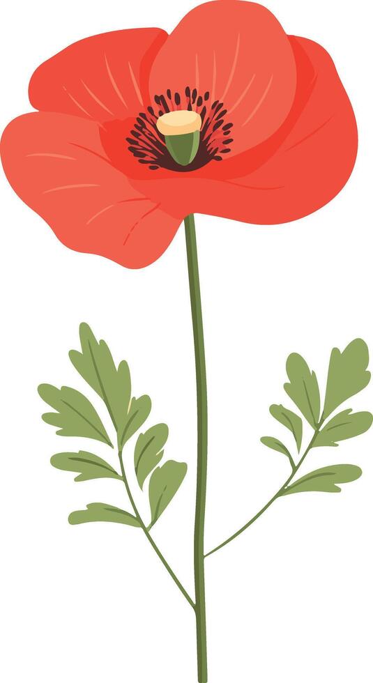 adorable cute simple poppy clipart vector